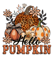 Hello Pumpkin Long Sleeve Shirt – 100% Cotton, Fall & Halloween Tee